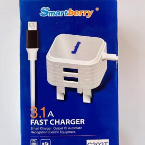 Fast Charger for iPhone – Dual USB 3.1A Quick Charge Adapter – Bold Power Delivery, Smart IC Chip, Compact & Lightweight, Overcharge Protection, Perfect for Travel & Home Use