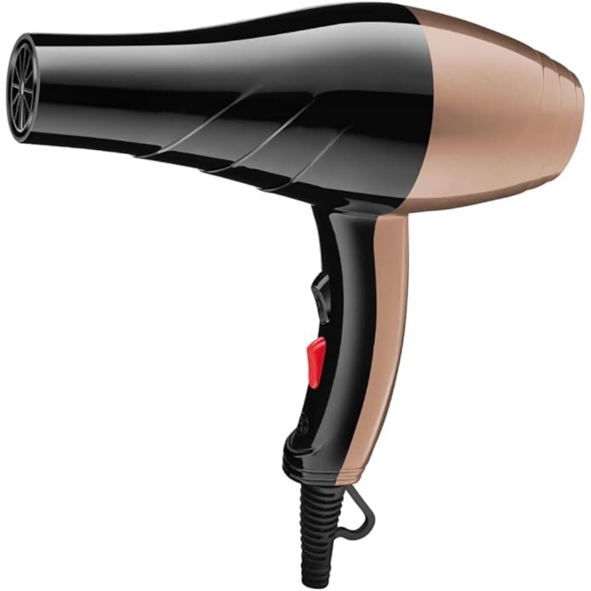Professional Ionic Hair Dryer for Frizz Control/Compact & Lightweight Blow Dryer with Cool Shot, 2-Speed Settings, Heat Protection, Removable Filter, Diffuser & Concentrator for Salon-Quality