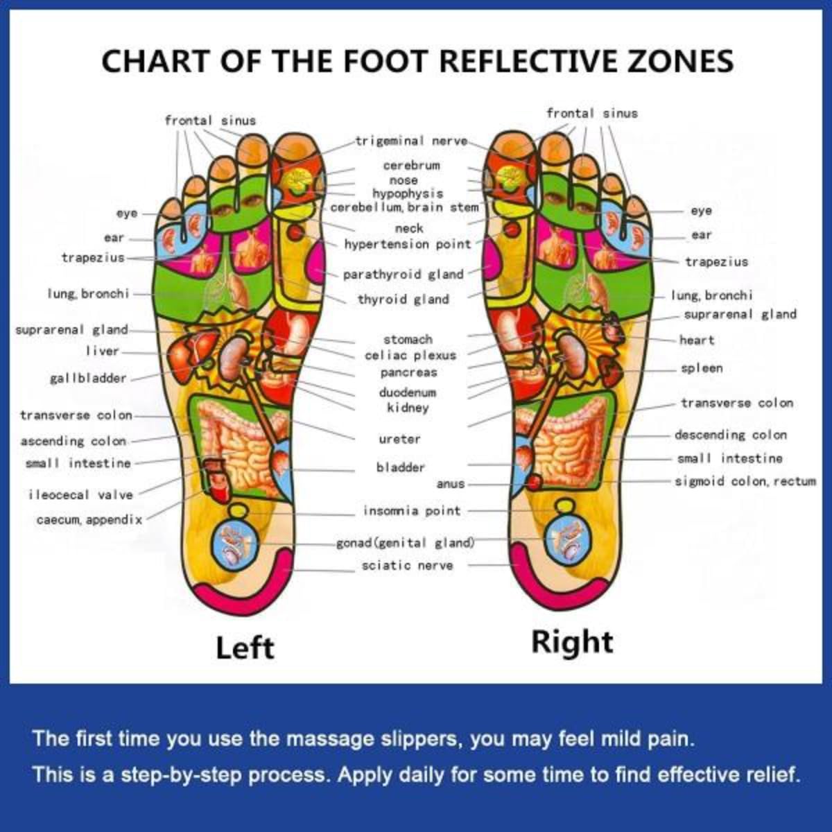 Generic Acupressure Foot Massage Slippers | Reflexology Sandals for Feet | Rotating Acupuncture Therapy | Size X-Large | Improve Blood Circulation | Relaxation Gifts for Mom Dad - Image 5