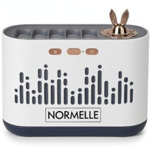 Flame Essential Oil Diffuser 700ml – RGB Color Changing Cool Mist Humidifier with Music Sync, Quiet Auto Shut Off Aromatherapy Diffuser with 2 Mist Modes for Large Room, Home, Office, Bedroom